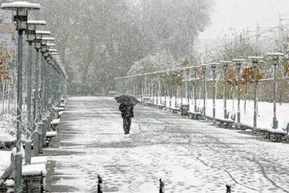 Un paseante camina por un parque de Vitoria ayer por la mañana.