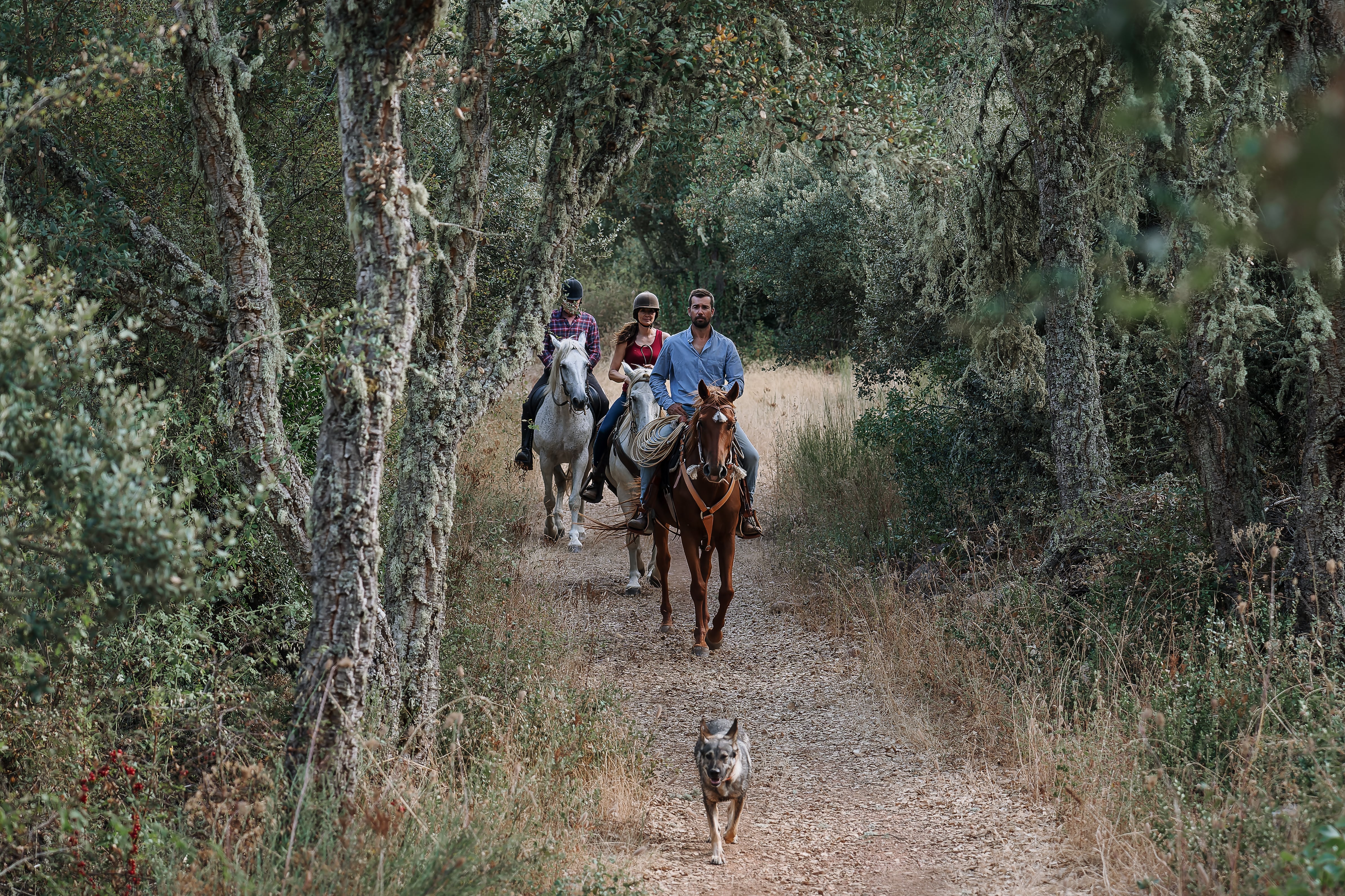 El Bierzo, en tiempo y forma