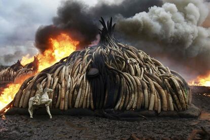 Una muntanya d'ullals d'elefant, figures d'ivori i banyes del rinoceront cremen al Parc Nacional de Nairobi (Kènia), el 30 d'abril del 2016.