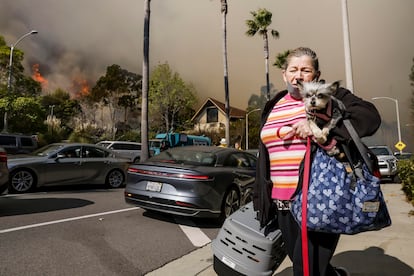 Una mujer abandona su barrio llevando consigo a sus mascotas. Karen Bass, la alcaldesa de Los Ángeles, pidió abandonar su casa a la población al noreste de Topanga Canyon, el bulevar que conecta la costa del Pacífico con el Valle de San Fernando, al norte.