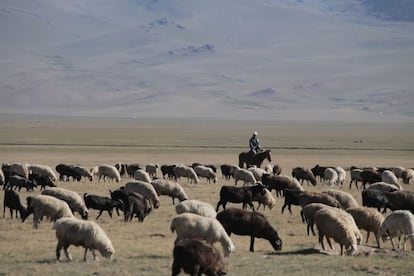 Un nómada cuida del ganado en los llanos del país asiático.
