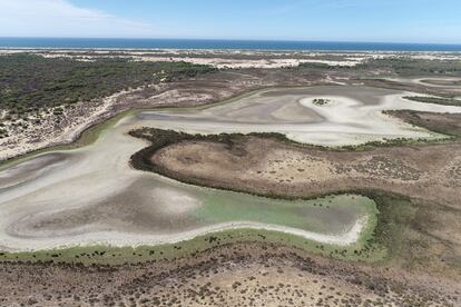 Laguna de Santa Olalla, en Doñana, seca en agosto de 2022.