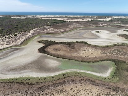 Laguna de Santa Olalla, en Doñana, seca en agosto de 2022.