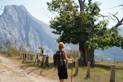 A lo largo del Camino Lebaniego, sugerentes pausas permiten a los viajeros contemplar la inmensidad de los Picos de Europa.