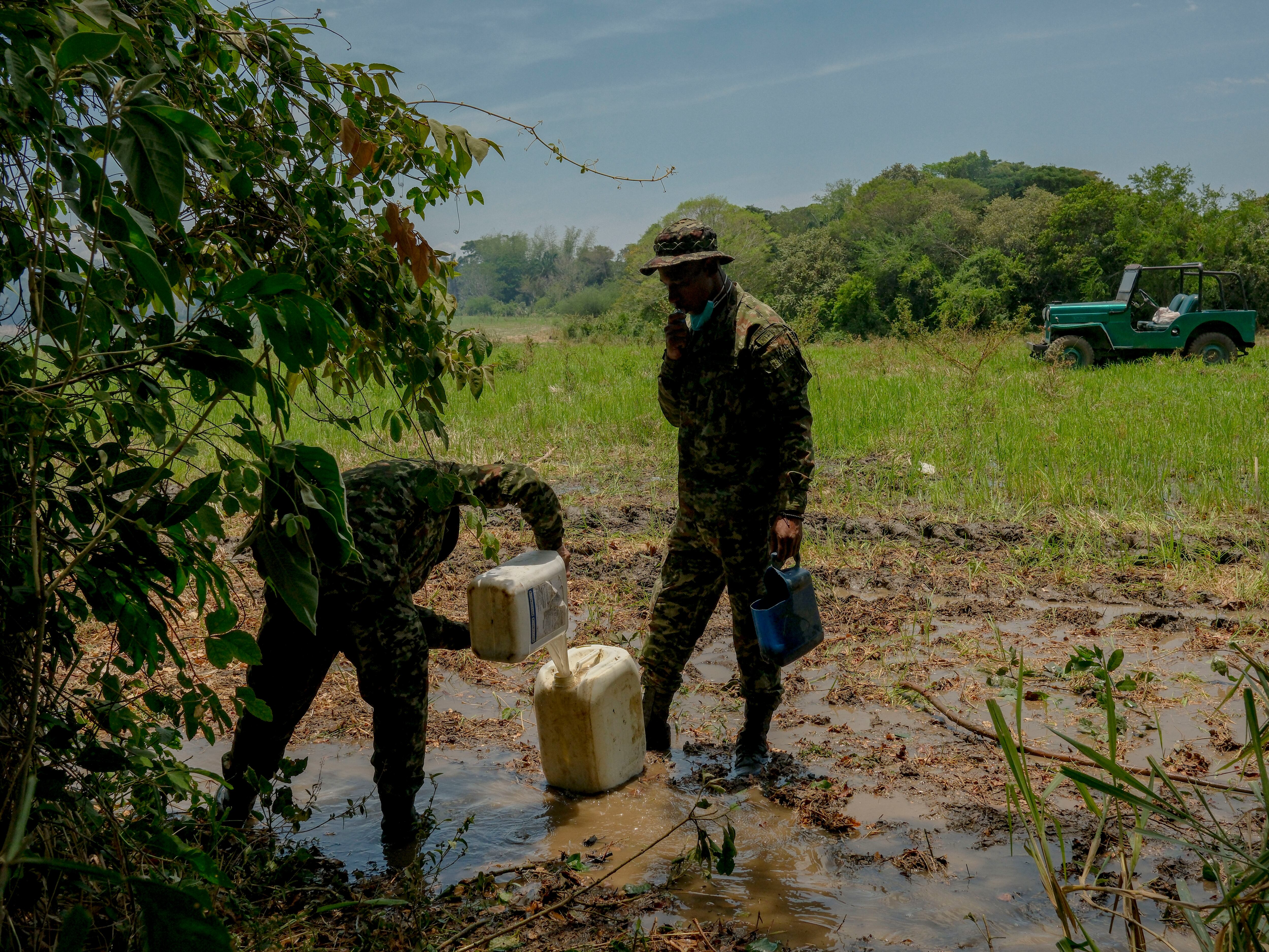 Unos soldados llenan bidones con agua de un arroyo ubicado en una plantación de arroz para combatir las llamas durante un incendio forestal en una vereda de Venadillo, Tolima, el 28 de agosto de 2026.