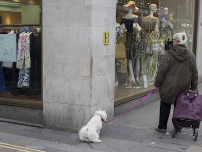 Un perro orina en la esquina de una calle, en una imagen de archivo.