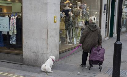 Un perro orina en la esquina de una calle, en una imagen de archivo.