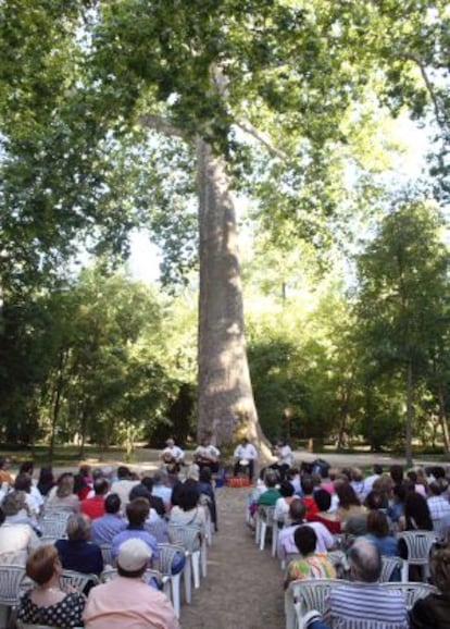 Actuación de un grupo musical en los jardines de Aranjuez.