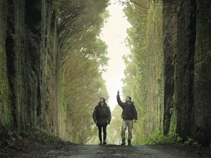 Caminar, la (vieja) nueva forma de hacer terapia psicológica