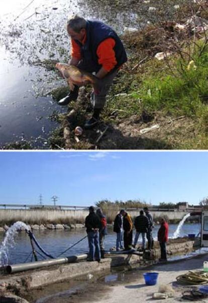 Arriba, un pescador retiraba ayer un ejemplar moribundo del río. Abajo, dispositivo de compresores instalado por la federación de pesca para oxigenar el agua del Júcar.