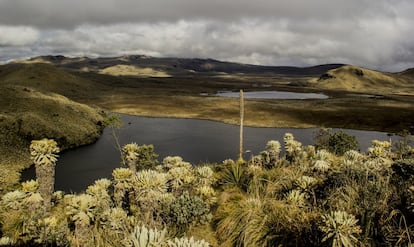 Las lagunas de El Voladero son uno de los principales atractivos turísticos de la Reserva Ecológica El Ángel, al norte de Ecuador. Situadas a 3.800 metros de altura, forman un complejo lacustre que alcanza las 30 hectáreas de superficie. Esta reserva forma parte desde 2012 de la lista de Humedales de Importancia Internacional de la Convención de Ramsar. El área abastece de agua para consumo humano y riego a una población de más de 100.000 personas.