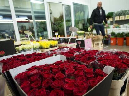 Una persona en el interior de un almacén de rosas en el mercado mayorista de la flor de Mercabarna.