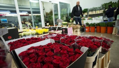 Una persona en el interior de un almacén de rosas en el mercado mayorista de la flor de Mercabarna.
