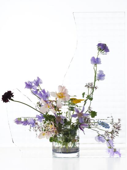 flor de acerico (Scabiosa japonica), flor de la viuda (Scabiosa atropurpurea), guisantes de olor (Lathyrus odoratus), clematis, begonia, capuchina (Tropaeolum majus), nazarenos (Muscari mill) y geranios (Pelargonium geranium