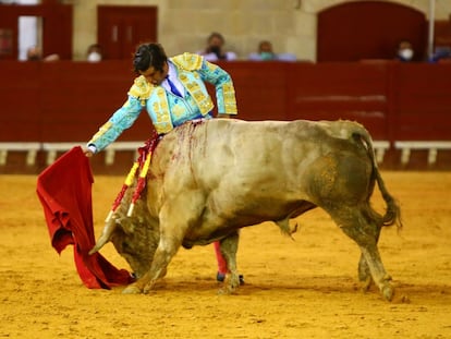 Morante de la Puebla, este sábado con seis toros en El Puerto de Santa María, Cádiz.