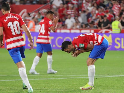 El delantero del Granada Jorge Molina (d) tras fallar un penalti, durante el partido de la última jornada de Liga en Primera División que Granada CF y RCD Espanyol disputan este domingo en el Nuevo Estadio Los Carmenes, en Granada.