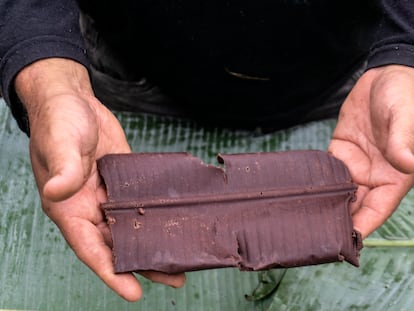 Roraima, 07/2018, Boa Vista.

Oficina de Cacau e produção de chocolate ministrada pelo professor, César de Mendes para os Ye'kwana e Yanomami, na comunidade Waikás.