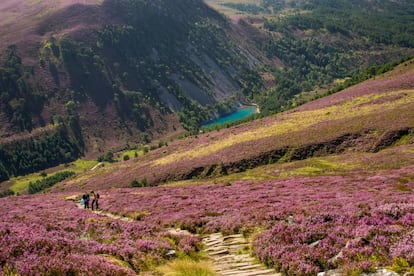 Cinco de las seis montañas más altas del Reino Unido se encuentran dentro del parque nacional de Cairngorms, en Escocia, un popular destino de esquí que además ofrece rutas de senderismo, escalada o bicicleta de montaña. Bosques de árboles centenarios, cataratas, lagos como el de Loch an Eilein, perfecto para un picnic (en la foto el An Loch Uaine o Lago Verde), o la única manada de renos en libertad de Gran Bretaña, en Glen More. También una visita a la destilería Glenlivet de Tomintoul, que forma parte de la Ruta del Whisky de Malta.