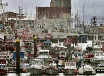 Decenas de barcos amarrados en el puerto de Burela.