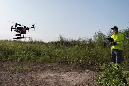 Un técnico vuela un dron para fumigar contra el mosquito en la localidad sevillana de Coria del Río.