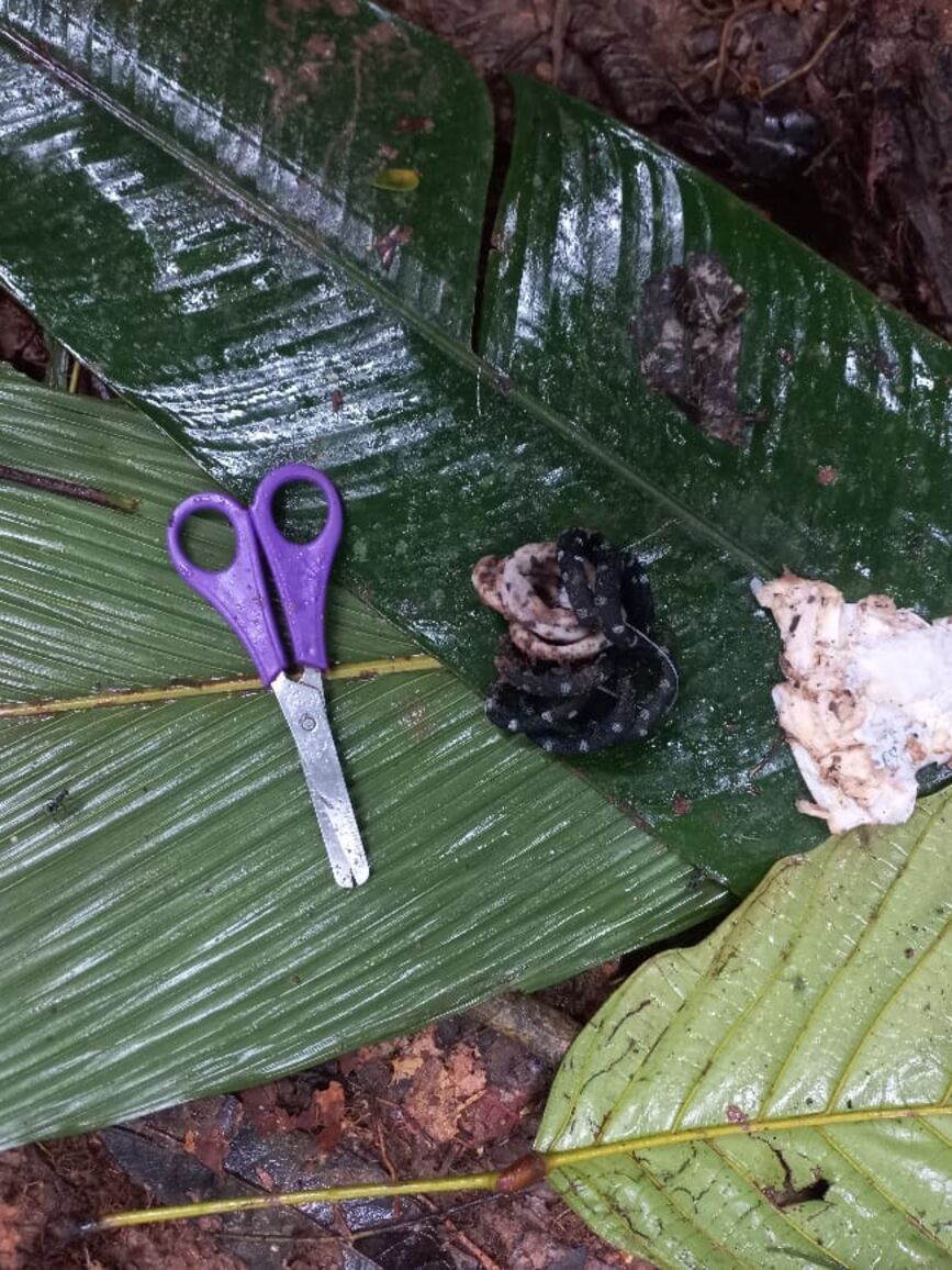 Elementos encontrados en un refugio improvisado.