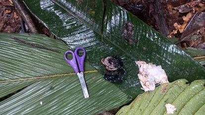 Elementos encontrados en un refugio improvisado el 17 de mayo.