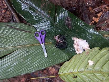 Assorted items found inside an improvised shelter on May 17.