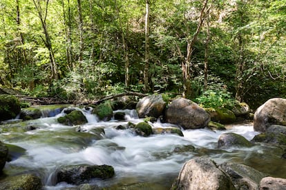 El río Carançà baja caudaloso en su paso por Toès i Entrevalls.