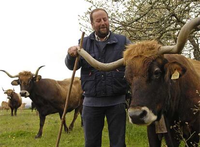 Pepe de Cimadevila junto a las vacas de raza vianesa.