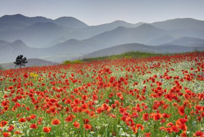 El Campo Imperatore, un prado alpino del Parque Nacional del Gran Sasso y Montes de Laga (Italia)