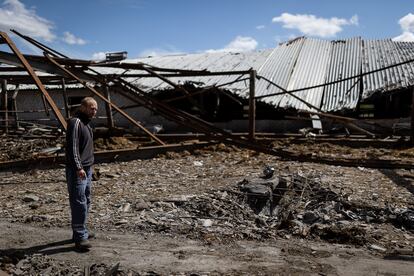 Yuri, on the farm hit by a Russian missile in an attack that killed 20 cows and injured 40 more.