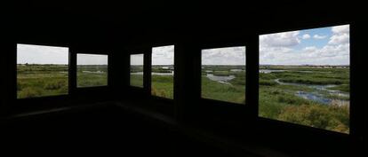 Panor&aacute;mica del humedal desde la Torre de Prado Ancho, donde se observa el Tablazo, la charca m&aacute;s hermosa y grande del parque nacional de Daimiel. 
 