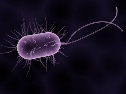 Por qué es tan difícil vencer a las superbacterias