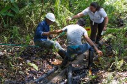 El actor estadounidense Danny Glover muestra su mano manchada de restos de petrleo durante su visita al rea donde oper Chevron-Texaco, en la zona de Aguarico 4, en la provincia de Sucumbos (Ecuador). Glover, que es adems un activista de derechos sociales, fue invitado por el gobierno ecuatoriano para comprobar insitu la contaminacin causada por la multinacional entre los a?os 1962 y 1990.