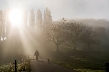 Los rayos de sol se abren paso entre la niebla en Buelach (Suiza).