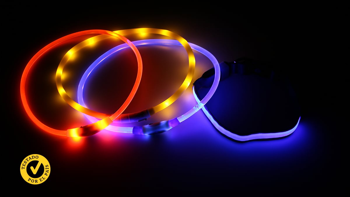 Ponemos a prueba los mejores collares luminosos para perros.