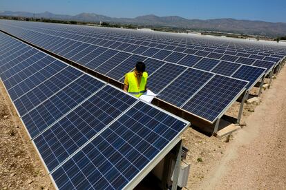 Planta fotovoltaica de la cooperativa eléctrica Enercoop, de Crevillent, en las inmediaciones del Realengo. En la imagen, miembros del equipo de mantenimiento en  pleno trabajo de inspección y control