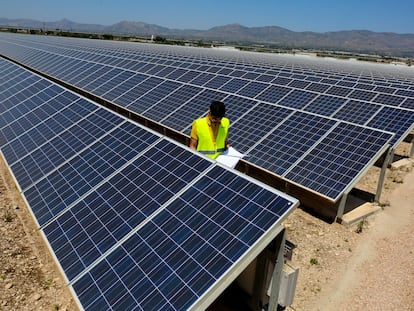 Planta fotovoltaica de la cooperativa eléctrica Enercoop, de Crevillent, en las inmediaciones del Realengo. En la imagen, miembros del equipo de mantenimiento en  pleno trabajo de inspección y control