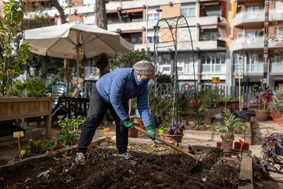 Maria Rosa labra la tierra en el huerto comunitario en los jardines de Montserrat.