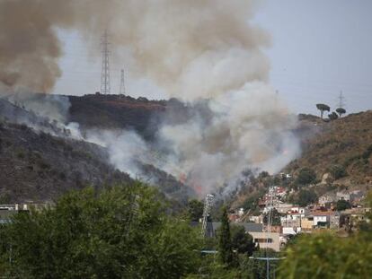 El foc crema a Collserola.