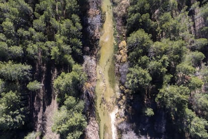 Sin apenas modificaciones ni presiones urbanas, el río recorre el corazón del Parque Natural del Alto Tajo. En la imagen, el cauce a su paso cerca de la localidad de Poveda de la Sierra, Guadalajara.