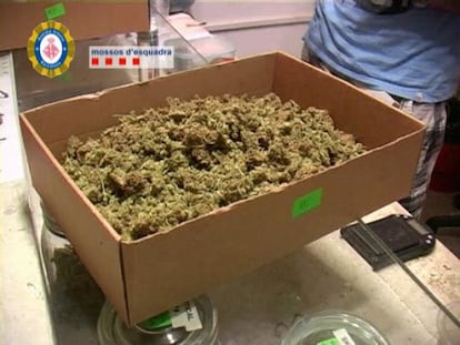 Una caja con cannabis incautada en una de las dos asociaciones cannábicas registradas por la policía.