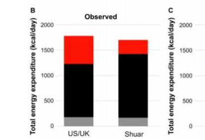 Gráfico comparativo del estudio que muestra las calorías consumidas por día de un niño shuar y de un niño de EE UU.