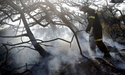 Un bombero recorre la zona afectada por el el incendio forestal registrado esta tarde en el parque natural de El Saler y que, según las primeras estimaciones, ha quemado unas dos hectáreas.