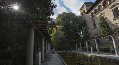 L'enorme lledonar situat al costat de l'estany del jardí de la casa de Julio Muñoz Ramonet.