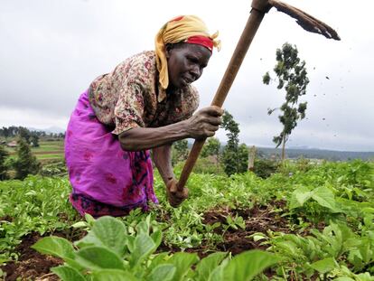 Reflexiones sobre la inseguridad alimentaria y la urbanización en Africa