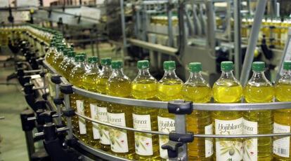 Línea de envasado de aceite en una cooperativa de Hojiblanca en Antequera, Málaga.