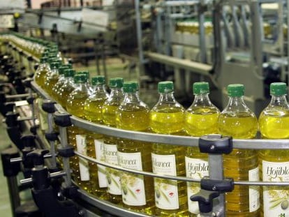 Línea de envasado de aceite en una cooperativa de Hojiblanca en Antequera, Málaga.