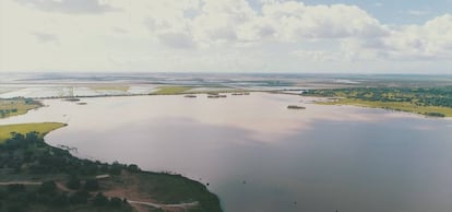 Imagen del proyecto Doñana, desarrollado por Heineken España.