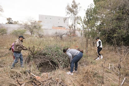 Fosa clandestina Guanajuato, hallazgo mayo 2024